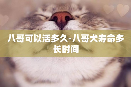 八哥可以活多久-八哥犬壽命多長時間