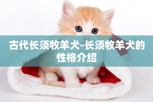 古代長須牧羊犬-長須牧羊犬的性格介紹