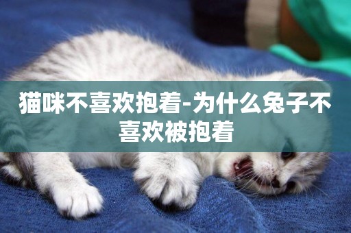 貓咪不喜歡抱著-為什么兔子不喜歡被抱著