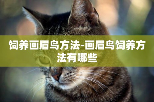 飼養畫眉鳥方法-畫眉鳥飼養方法有哪些