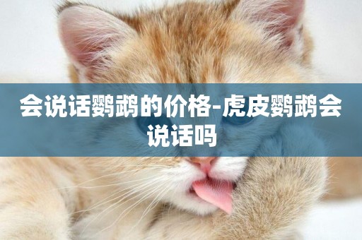 會說話鸚鵡的價格-虎皮鸚鵡會說話嗎