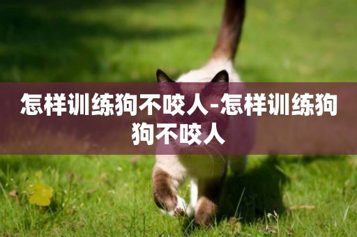 怎樣訓練狗不咬人-怎樣訓練狗狗不咬人