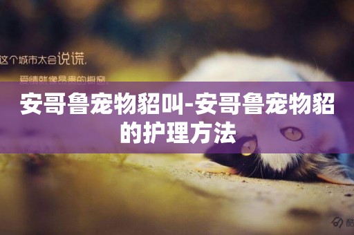 安哥魯寵物貂叫-安哥魯寵物貂的護理方法
