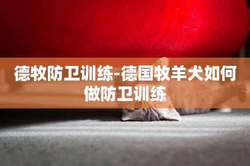 德牧防衛訓練-德國牧羊犬如何做防衛訓練