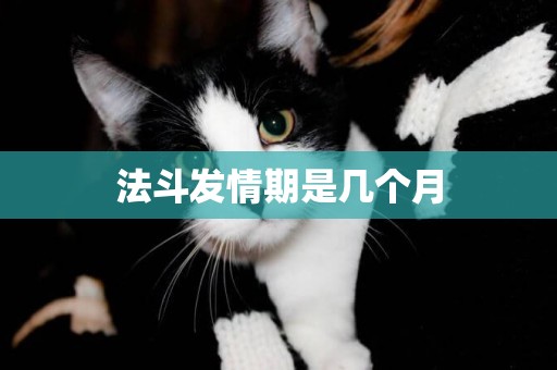 法斗發情期是幾個月