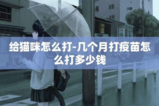 給貓咪怎么打-幾個月打疫苗怎么打多少錢