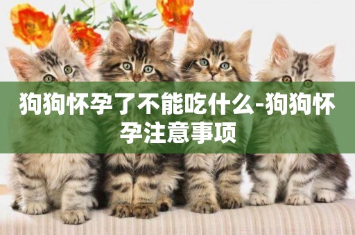 狗狗懷孕了不能吃什么-狗狗懷孕注意事項