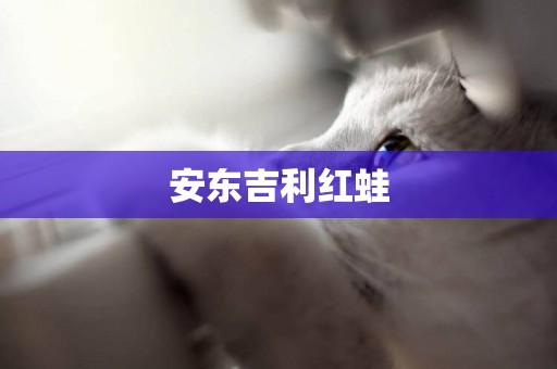 安東吉利紅蛙