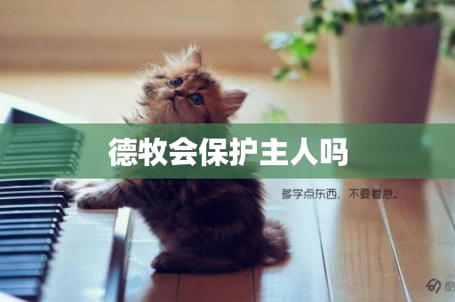 德牧會保護主人嗎