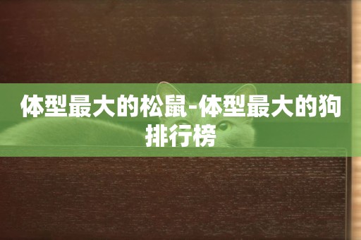體型最大的松鼠-體型最大的狗排行榜