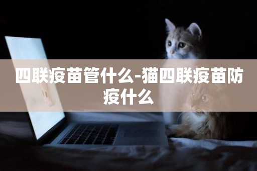 四聯疫苗管什么-貓四聯疫苗防疫什么