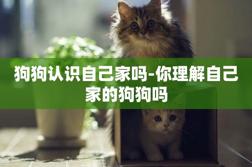 狗狗認識自己家嗎-你理解自己家的狗狗嗎