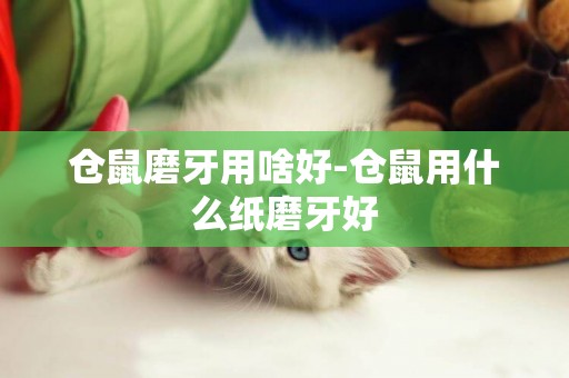 倉鼠磨牙用啥好-倉鼠用什么紙磨牙好