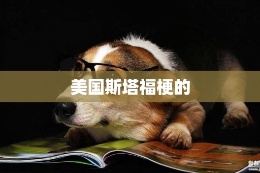 美國斯塔福梗的