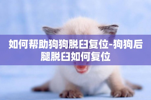 如何幫助狗狗脫臼復位-狗狗后腿脫臼如何復位