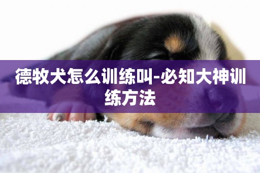 德牧犬怎么訓練叫-必知大神訓練方法