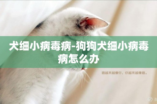 犬細小病毒病-狗狗犬細小病毒病怎么辦
