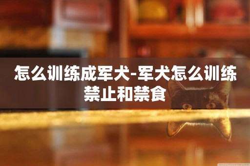 怎么訓練成軍犬-軍犬怎么訓練禁止和禁食