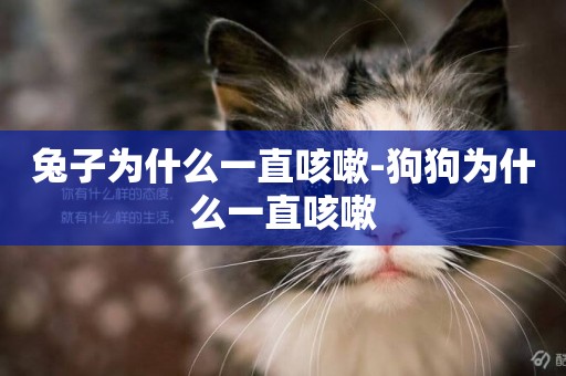 兔子為什么一直咳嗽-狗狗為什么一直咳嗽