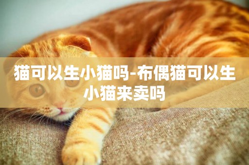貓可以生小貓嗎-布偶貓可以生小貓來賣嗎