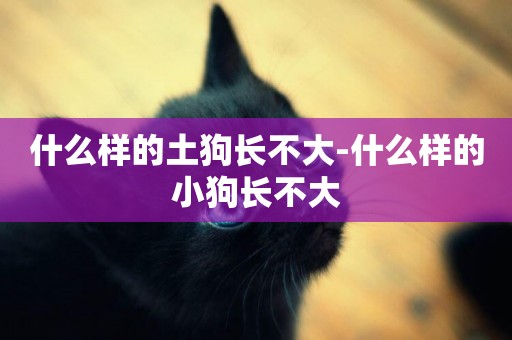 什么樣的土狗長不大-什么樣的小狗長不大