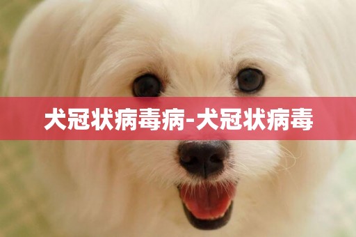 犬冠狀病毒病-犬冠狀病毒