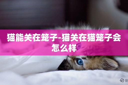 貓能關在籠子-貓關在貓籠子會怎么樣