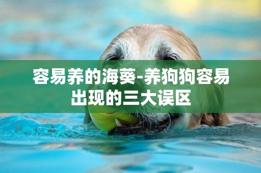 容易養的海葵-養狗狗容易出現的三大誤區