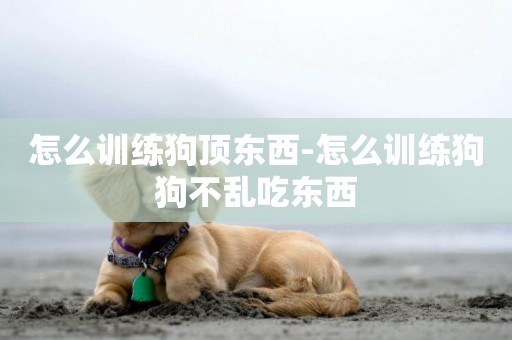 怎么訓練狗頂東西-怎么訓練狗狗不亂吃東西