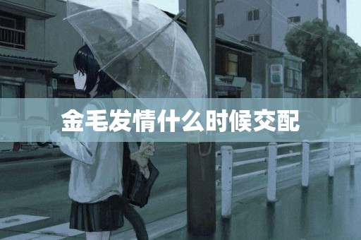 金毛發情什么時候交配