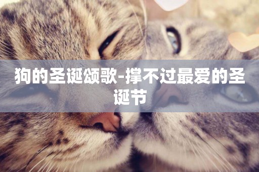 狗的圣誕頌歌-撐不過最愛的圣誕節
