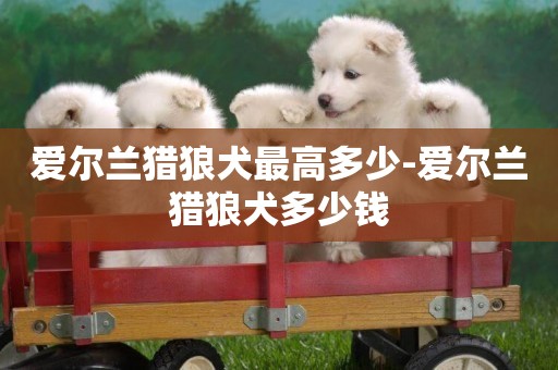 愛爾蘭獵狼犬最高多少-愛爾蘭獵狼犬多少錢