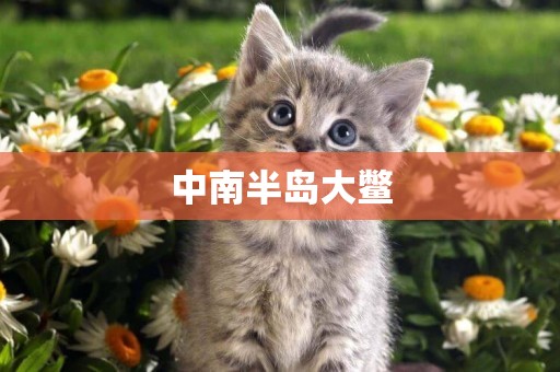 中南半島大鱉