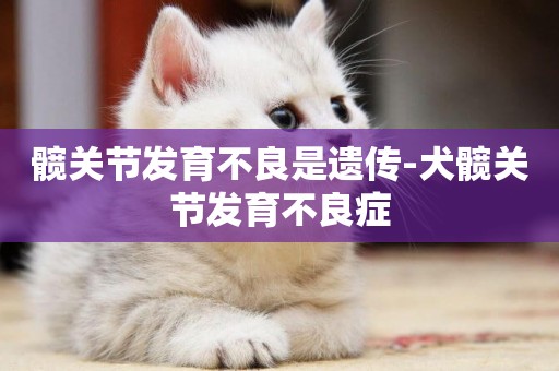 髖關節發育不良是遺傳-犬髖關節發育不良癥