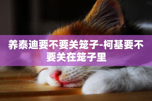 養泰迪要不要關籠子-柯基要不要關在籠子里