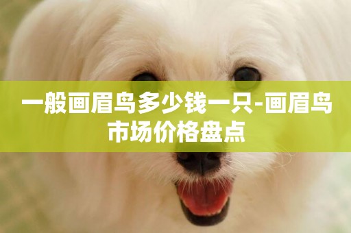 一般畫眉鳥多少錢一只-畫眉鳥市場價格盤點