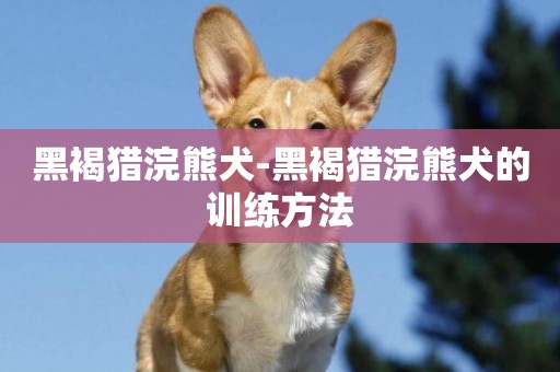 黑褐獵浣熊犬-黑褐獵浣熊犬的訓練方法