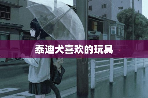 泰迪犬喜歡的玩具