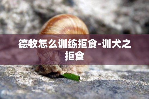 德牧怎么訓練拒食-訓犬之拒食