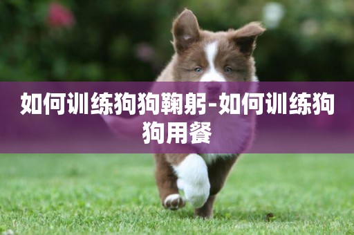 如何訓練狗狗鞠躬-如何訓練狗狗用餐