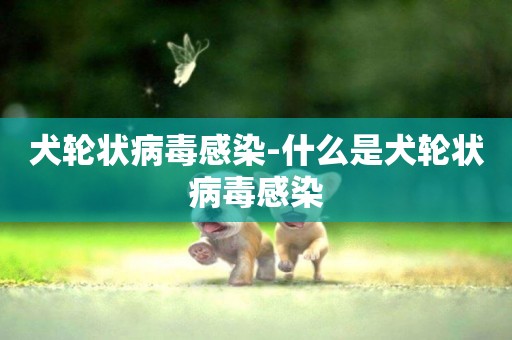 犬輪狀病毒感染-什么是犬輪狀病毒感染