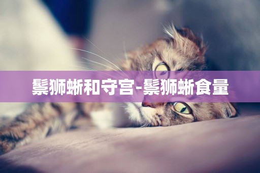 鬃獅蜥和守宮-鬃獅蜥食量