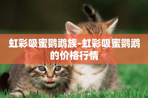 虹彩吸蜜鸚鵡族-虹彩吸蜜鸚鵡的價格行情