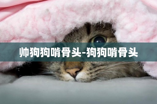 帥狗狗啃骨頭-狗狗啃骨頭