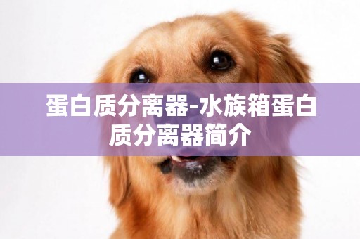 蛋白質分離器-水族箱蛋白質分離器簡介
