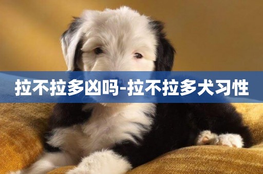 拉不拉多兇嗎-拉不拉多犬習性