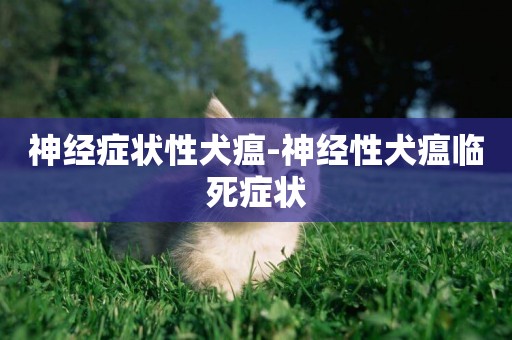 神經癥狀性犬瘟-神經性犬瘟臨死癥狀