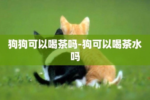 狗狗可以喝茶嗎-狗可以喝茶水嗎