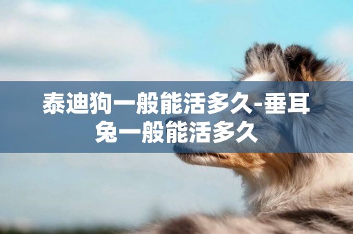 泰迪狗一般能活多久-垂耳兔一般能活多久