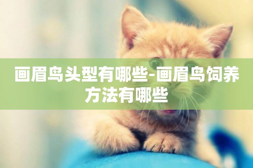 畫眉鳥頭型有哪些-畫眉鳥飼養方法有哪些